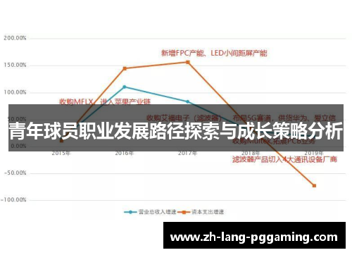 青年球员职业发展路径探索与成长策略分析