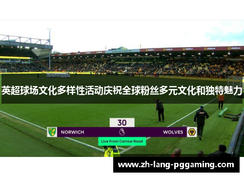 英超球场文化多样性活动庆祝全球粉丝多元文化和独特魅力