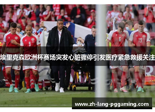 埃里克森欧洲杯赛场突发心脏骤停引发医疗紧急救援关注