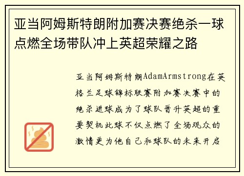 亚当阿姆斯特朗附加赛决赛绝杀一球点燃全场带队冲上英超荣耀之路